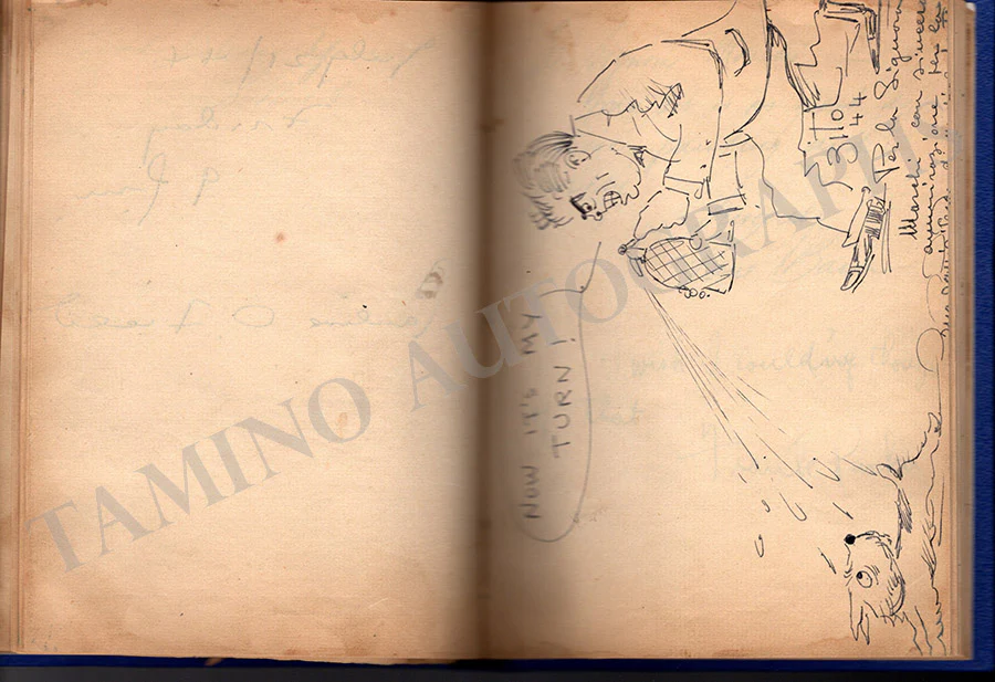 Thumbnail 41